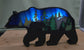 Northern Lights Bear